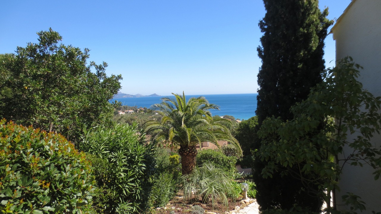Photo of Outdoor in Les Issambres