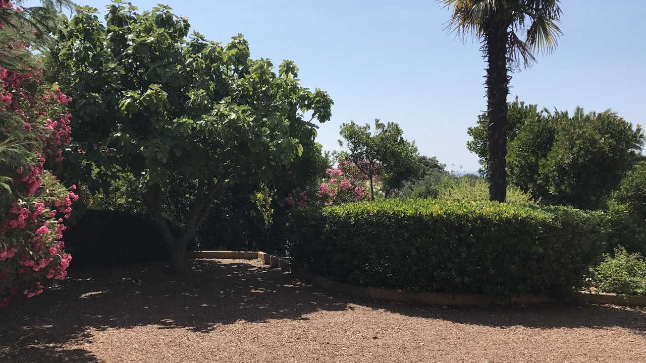 Photo of Outdoor in La Croix-Valmer