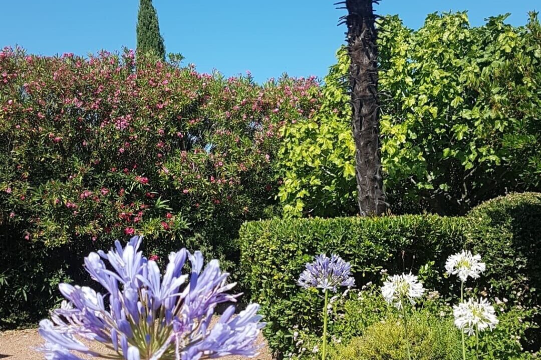Photo of Outdoor in La Croix-Valmer