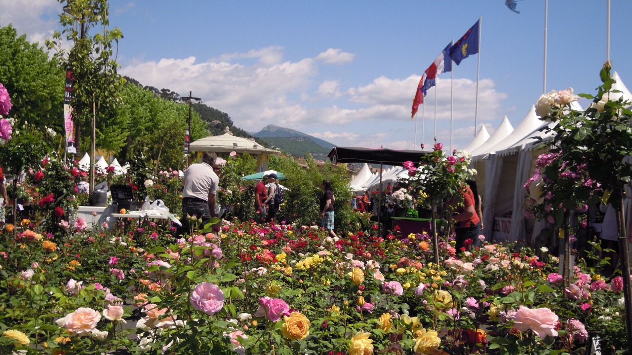 Photo of Others in Magagnosc