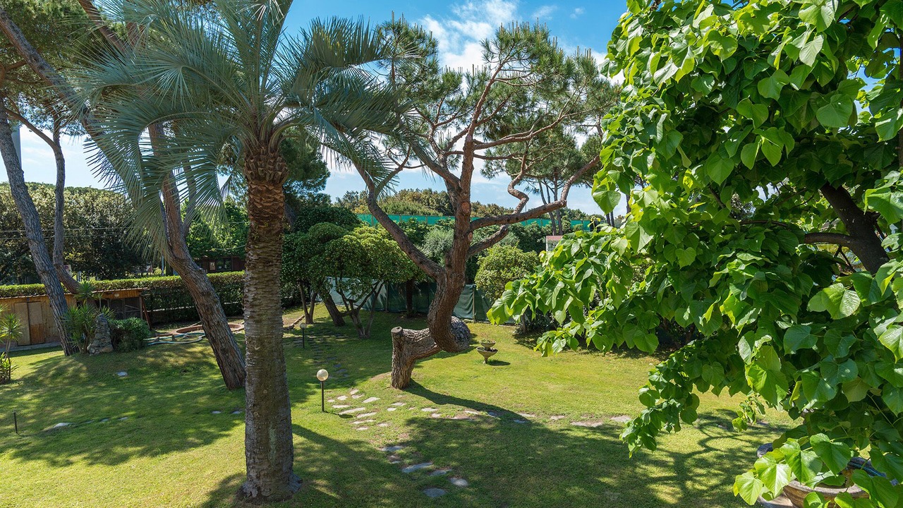 Photo of Outdoor in Cinquale