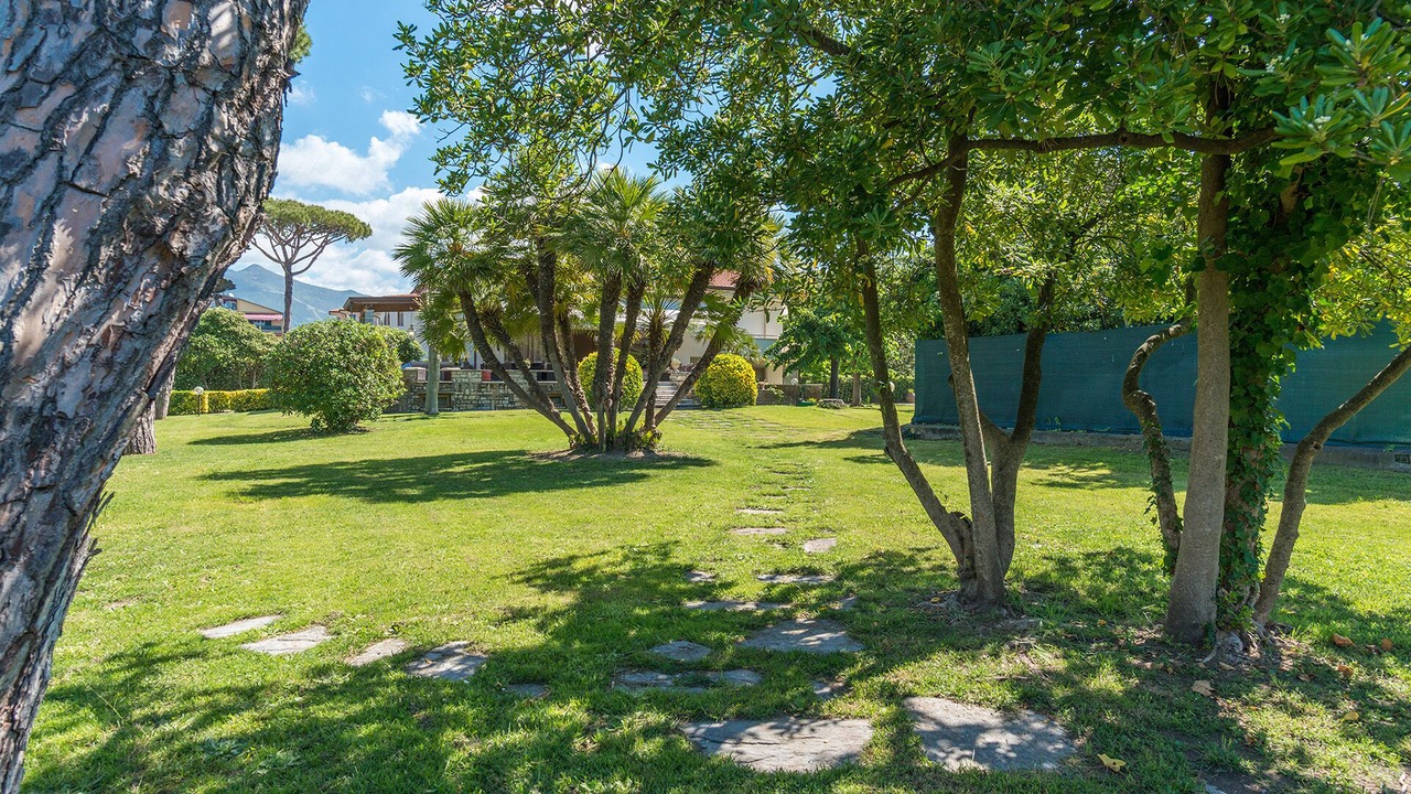 Photo of Outdoor in Cinquale