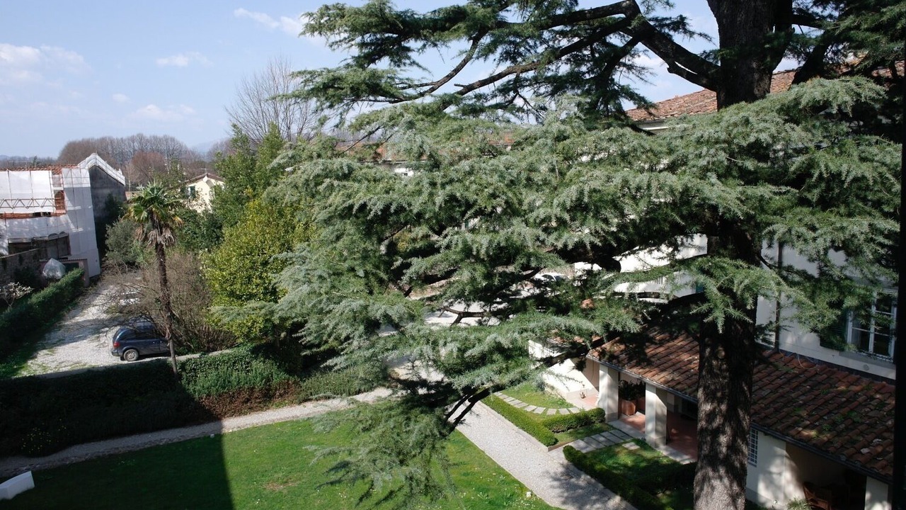 Photo of Outdoor in Lucca Historical Center