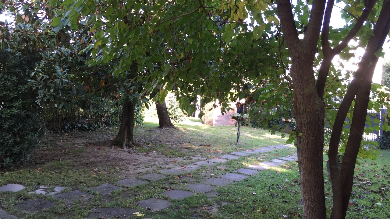 Photo of Outdoor in Tirrenia