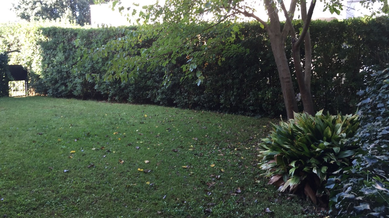 Photo of Outdoor in Tirrenia