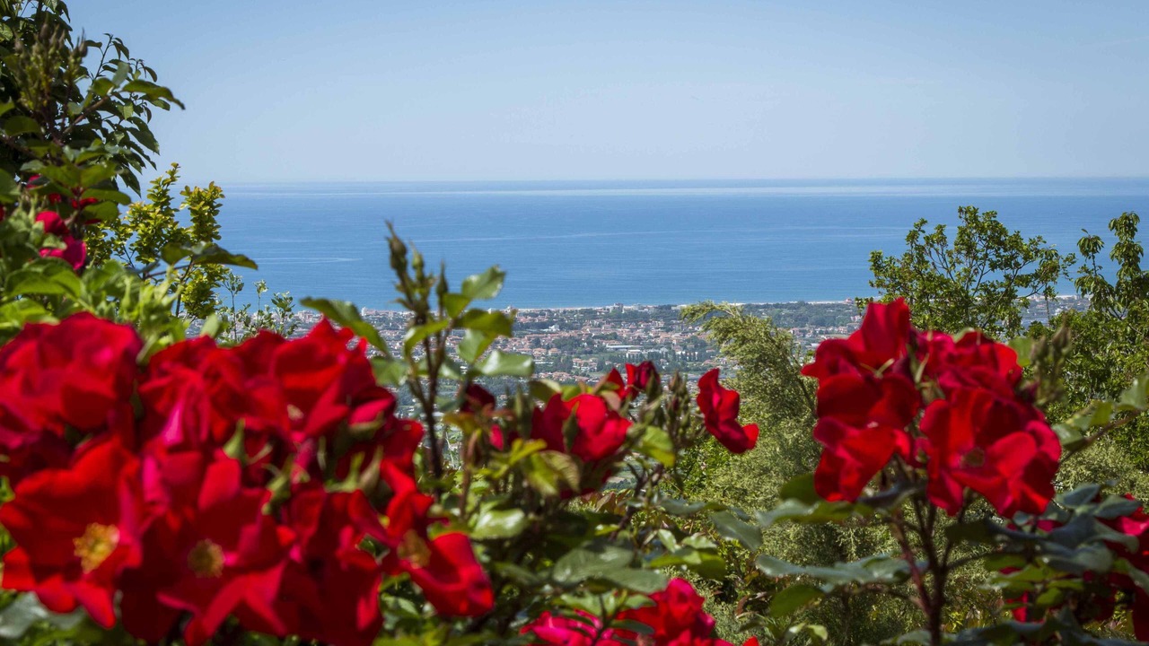 Photo of Outdoor in Massarosa