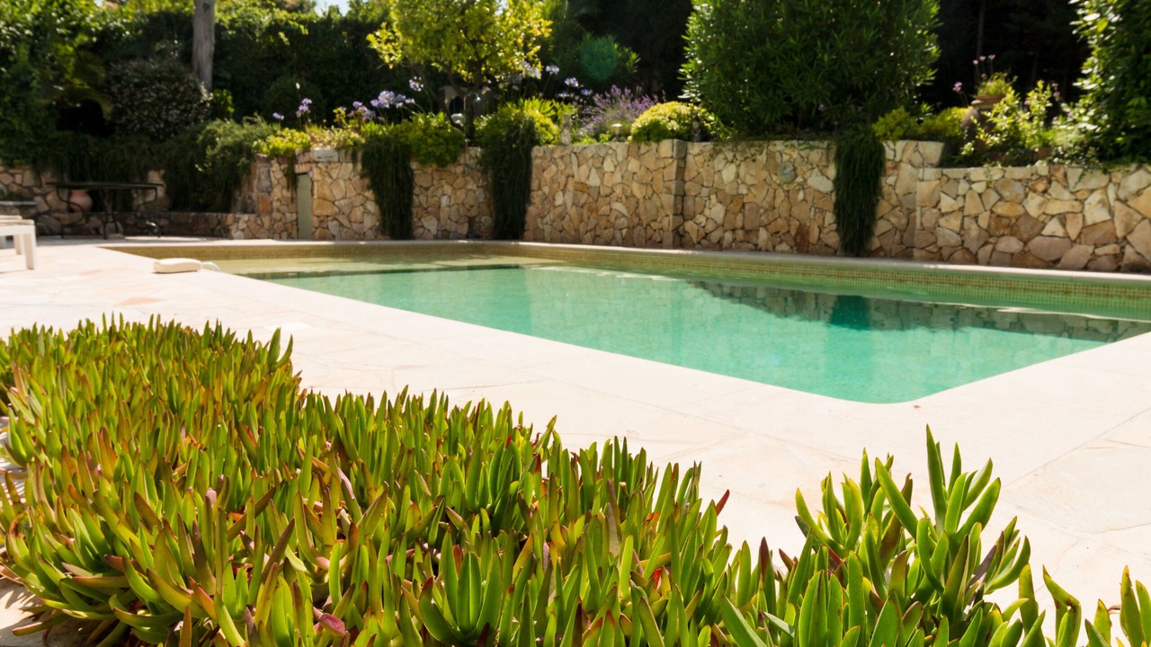 Photo of Outdoor in California - Pezou
