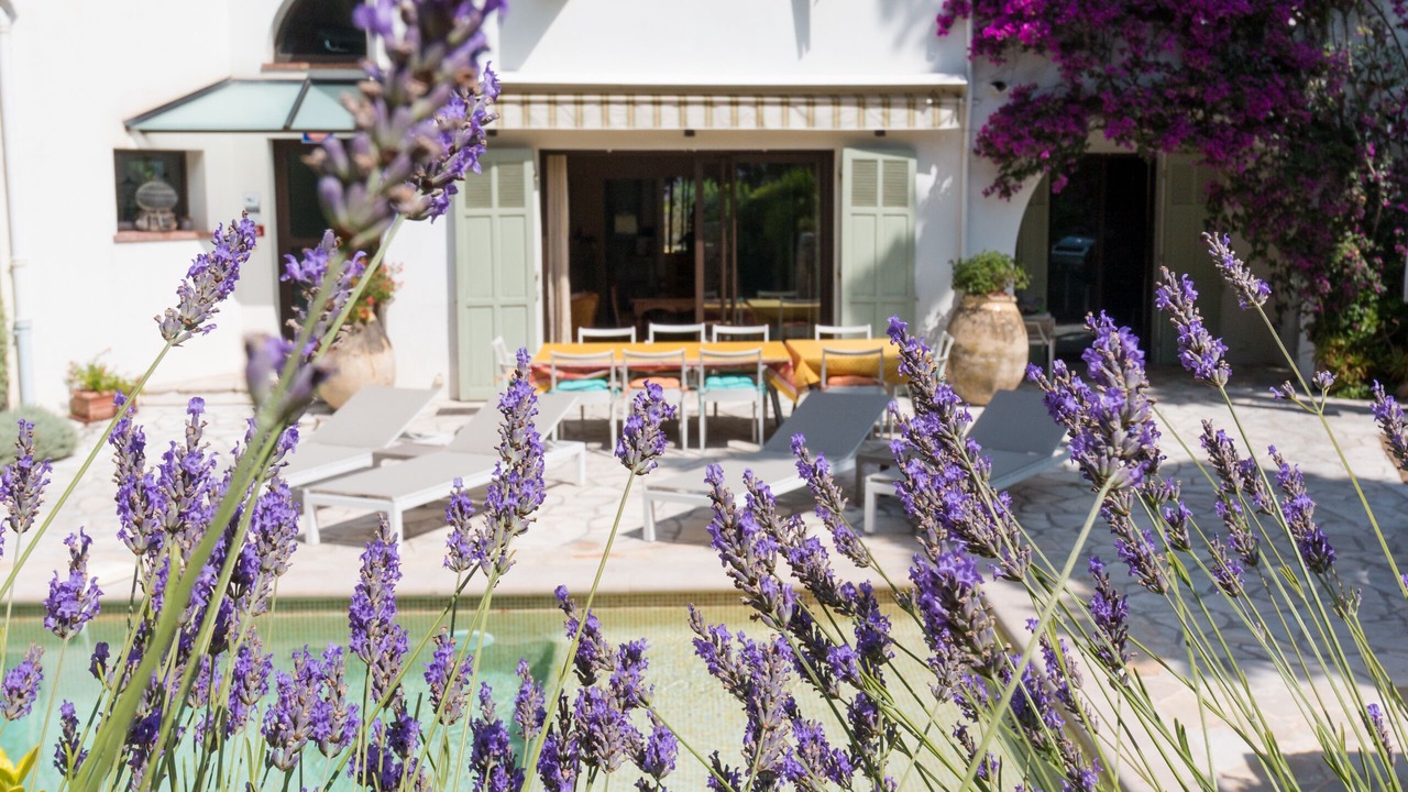 Photo of Outdoor in California - Pezou