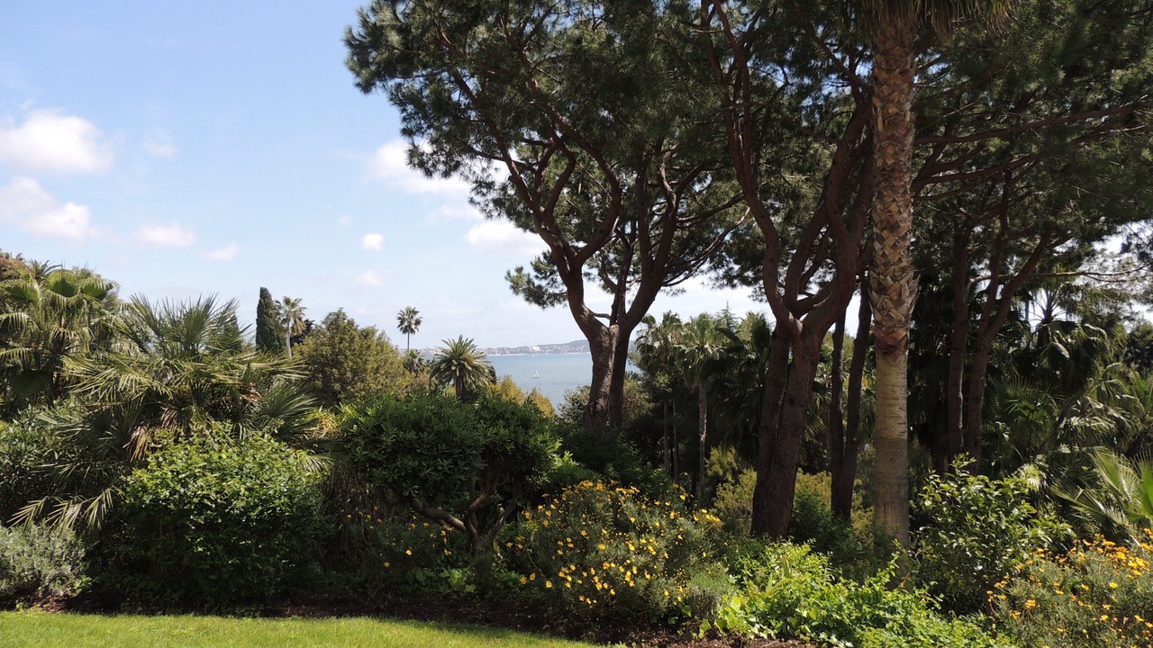 Photo of Outdoor in Vallauris