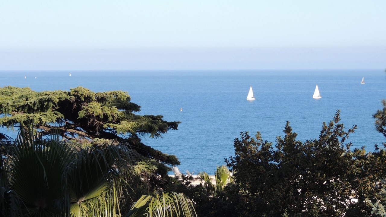 Photo of Others in Vallauris