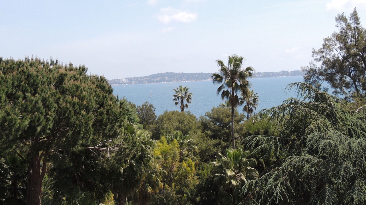 Photo of Others in Vallauris