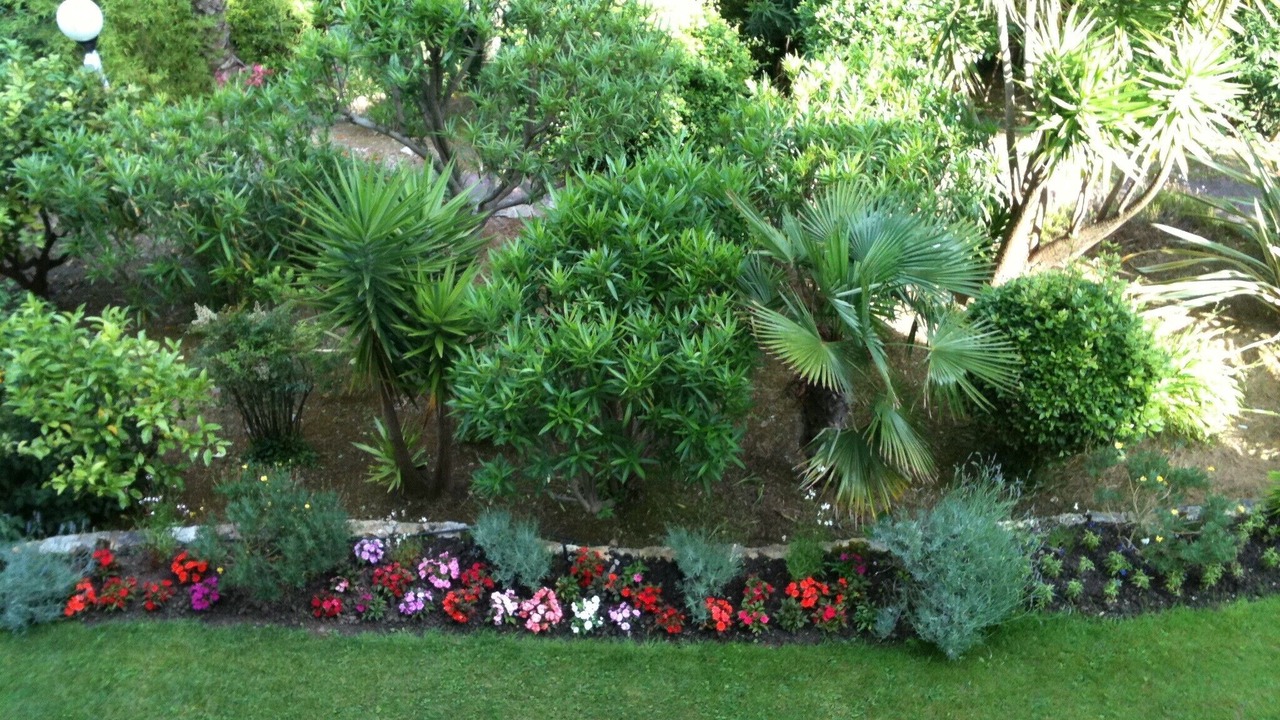Photo of Outdoor in Vallauris