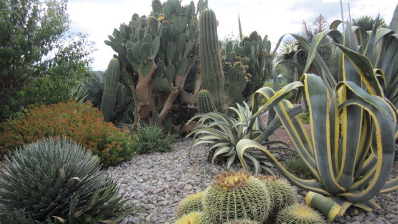 Photo of Outdoor in Frejus Plage