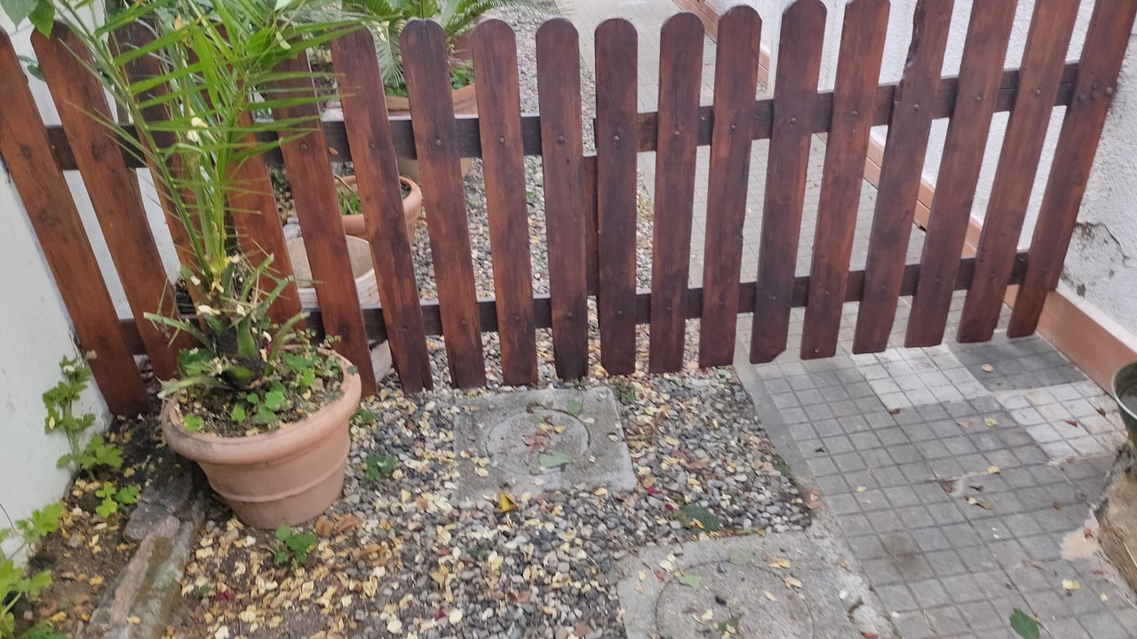 Photo of Outdoor in Castiglioncello