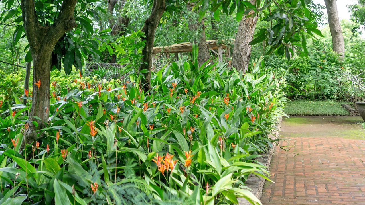 Photo of Outdoor in Pemuteran
