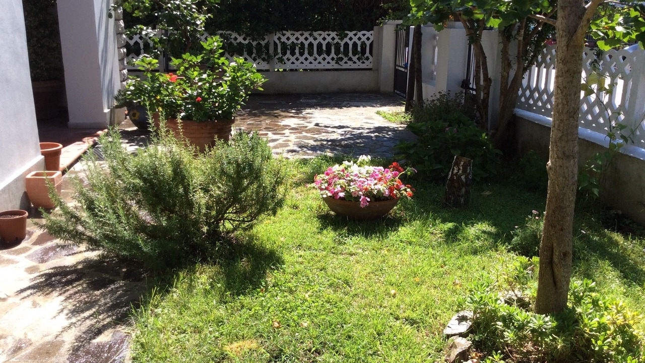 Photo of Outdoor in Pisa
