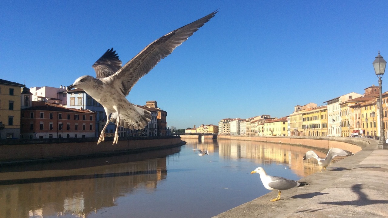 Photo of Others in Pisa