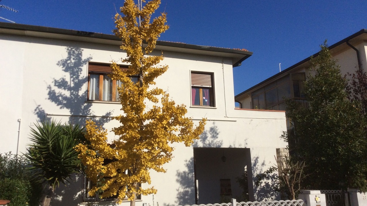 Photo of Outdoor in Pisa