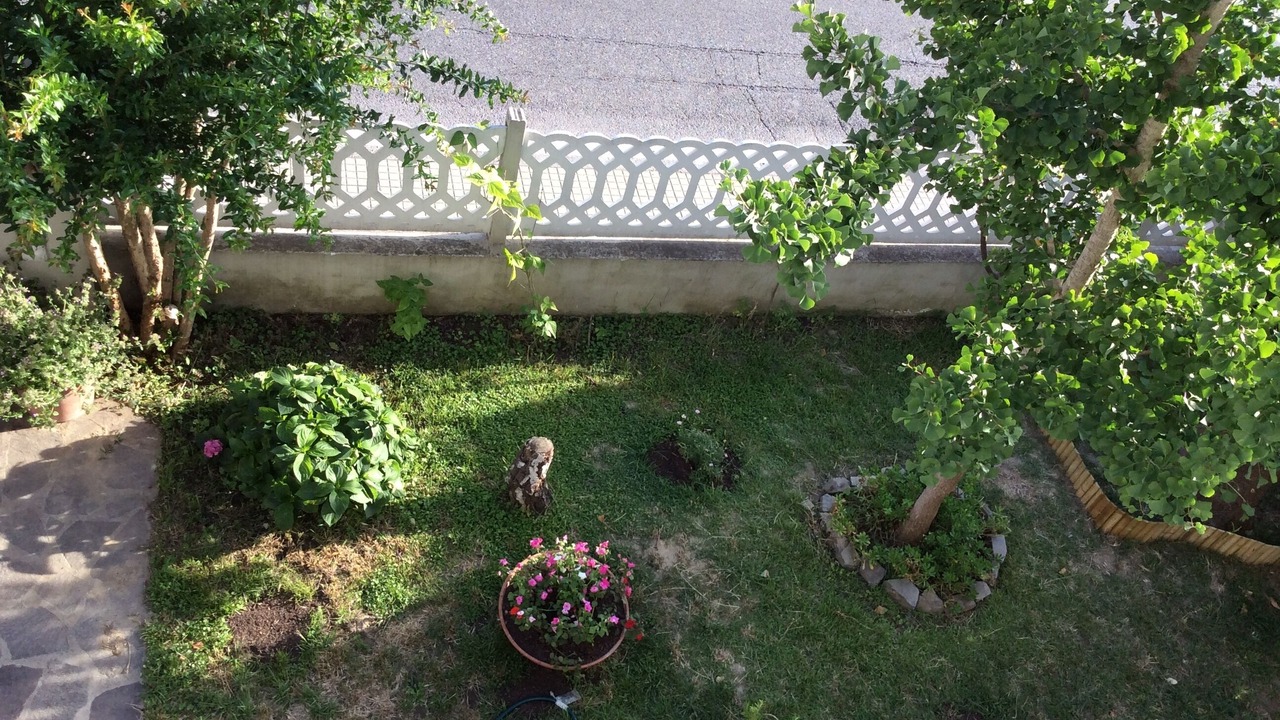 Photo of Outdoor in Pisa