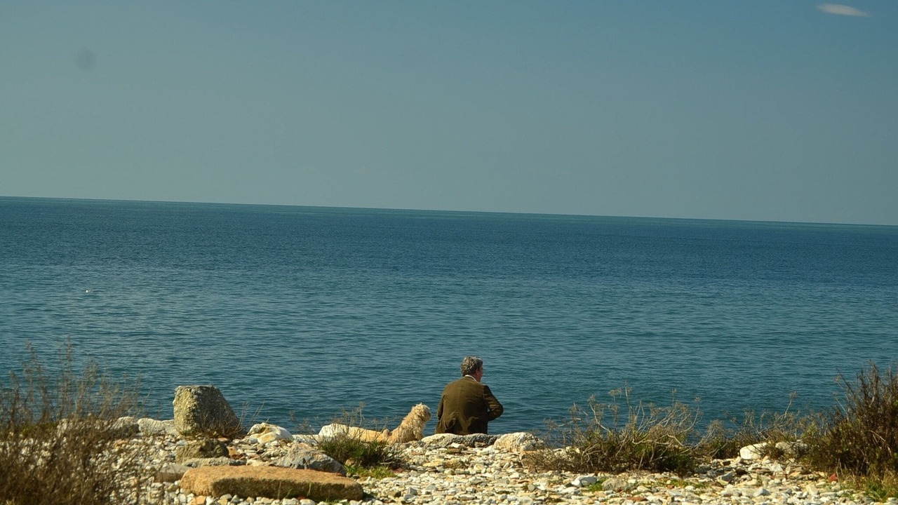 Photo of Others in Marina di Carrara