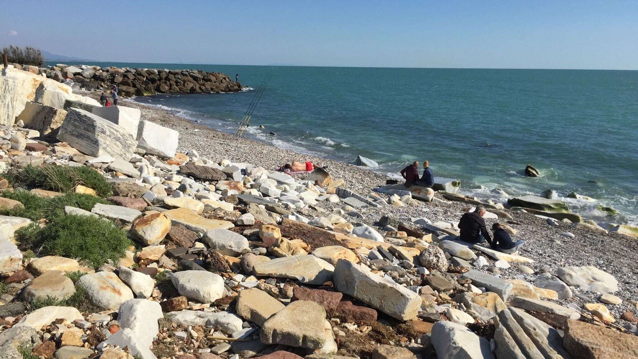 Photo of Others in Marina di Carrara
