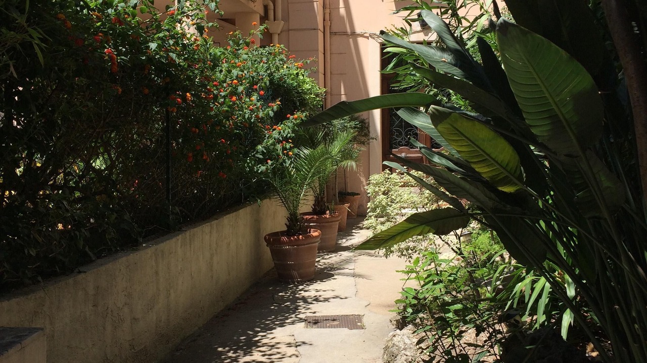 Photo of Outdoor in Cannes City Centre