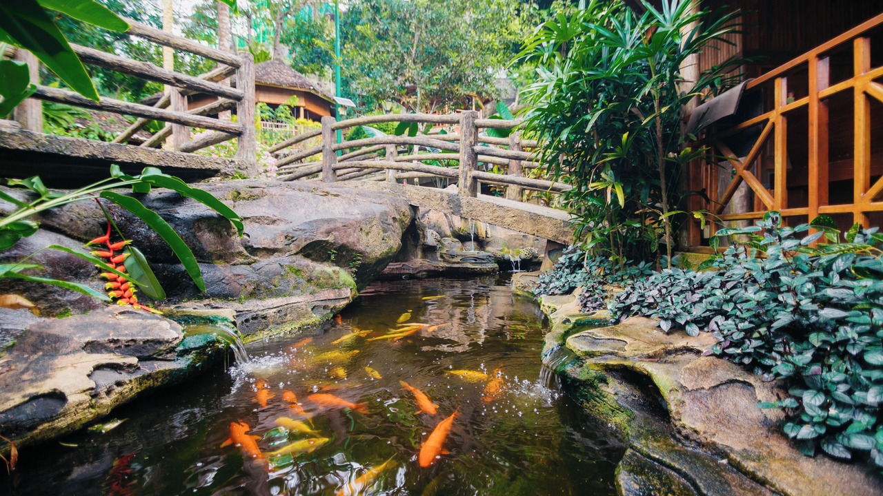Photo of Outdoor in Bintan