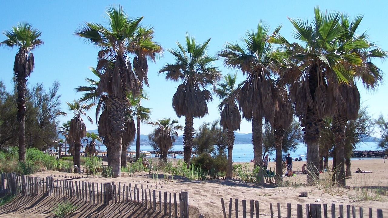 Photo of Others in Saint-Aygulf