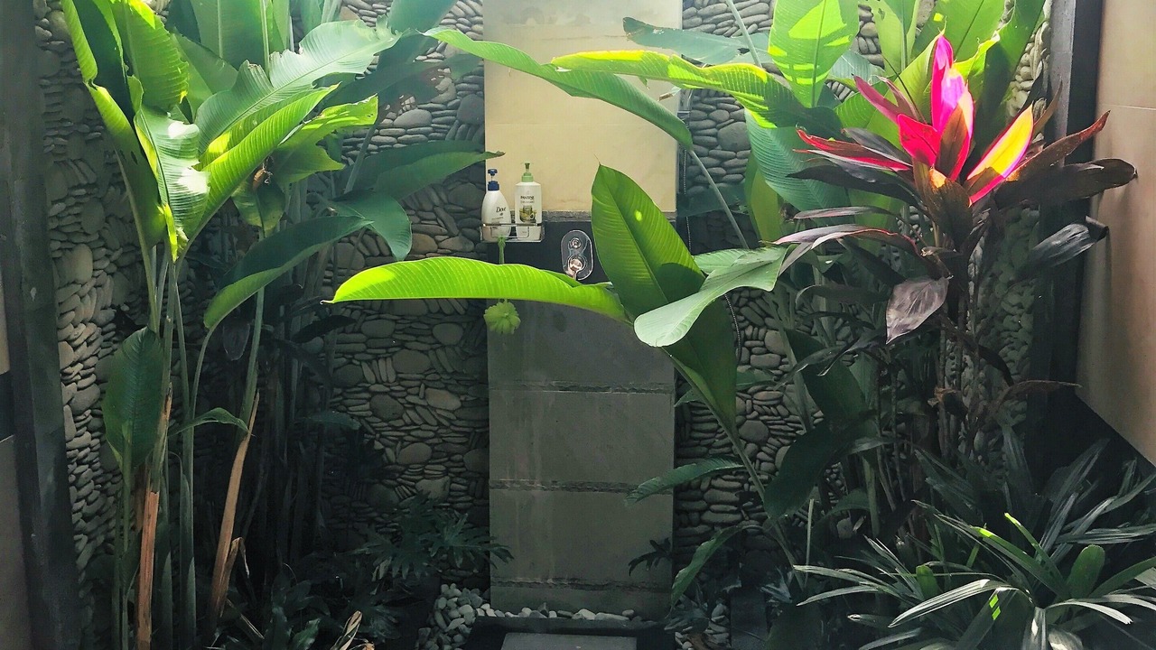 Photo of Outdoor in Ubud