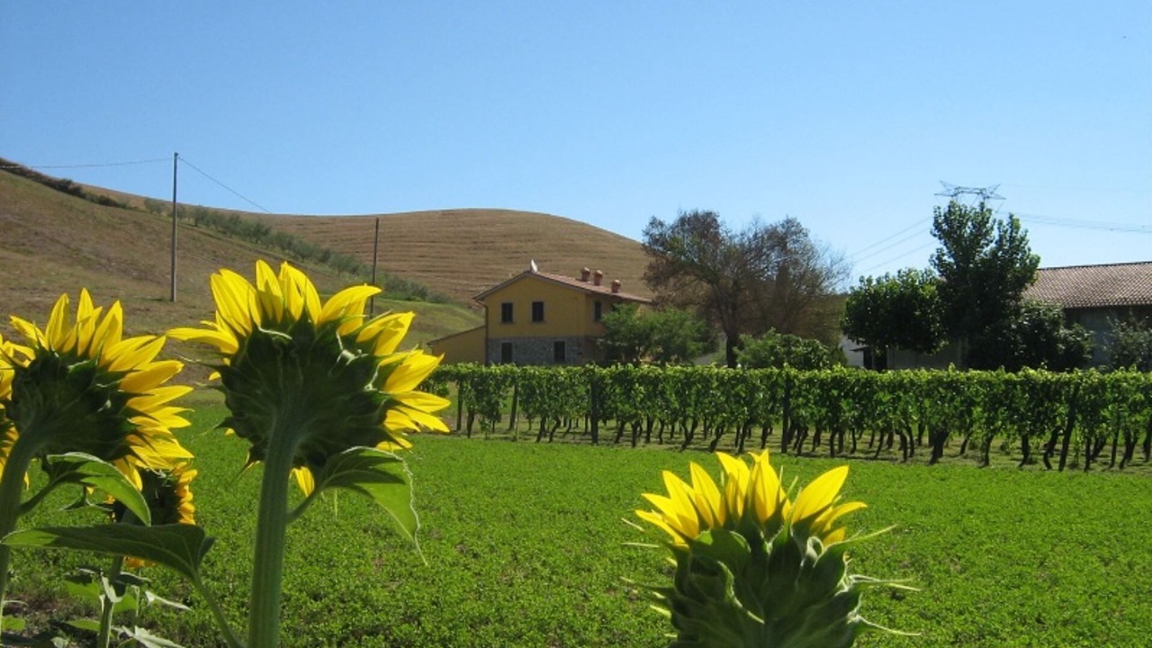 Photo of Outdoor in Volterra