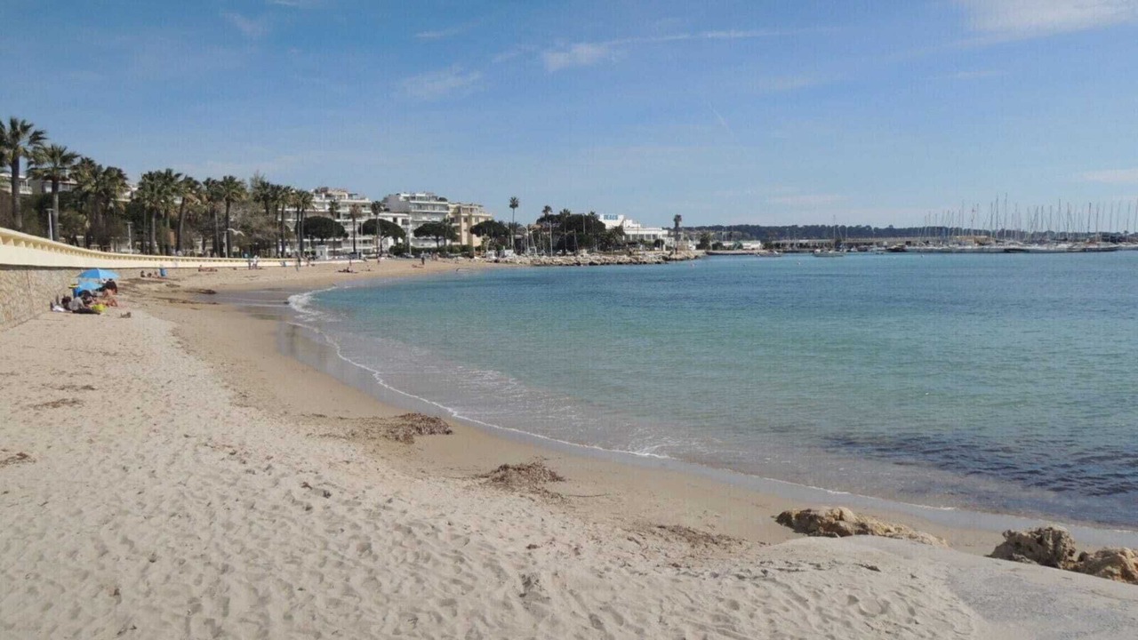 Photo of Others in Cannes City Centre