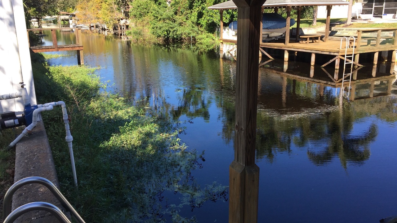 Photo of Outdoor in Orlando
