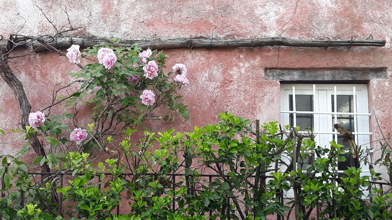Photo of Outdoor in Corsanico