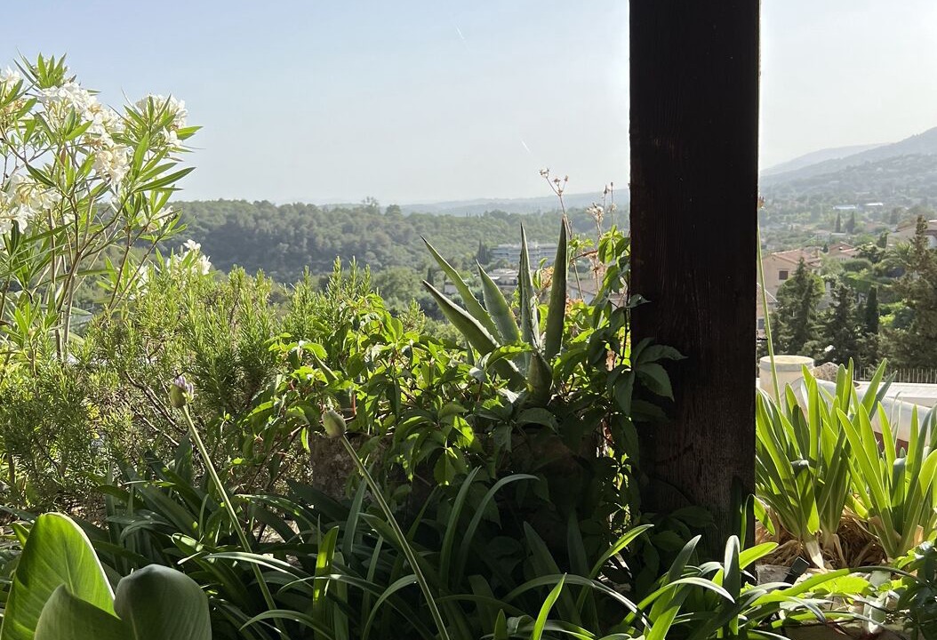Photo of Outdoor in Vence