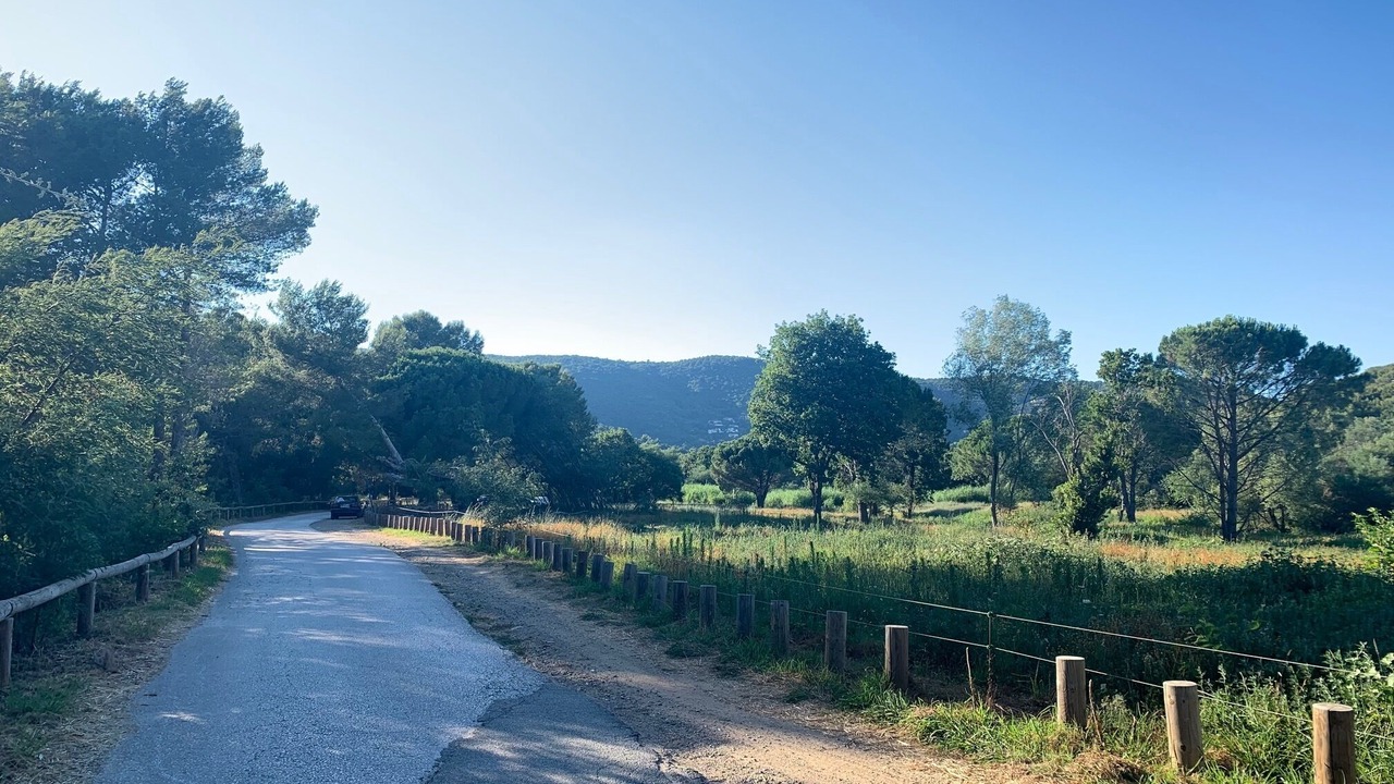 Photo of Others in La Croix-Valmer
