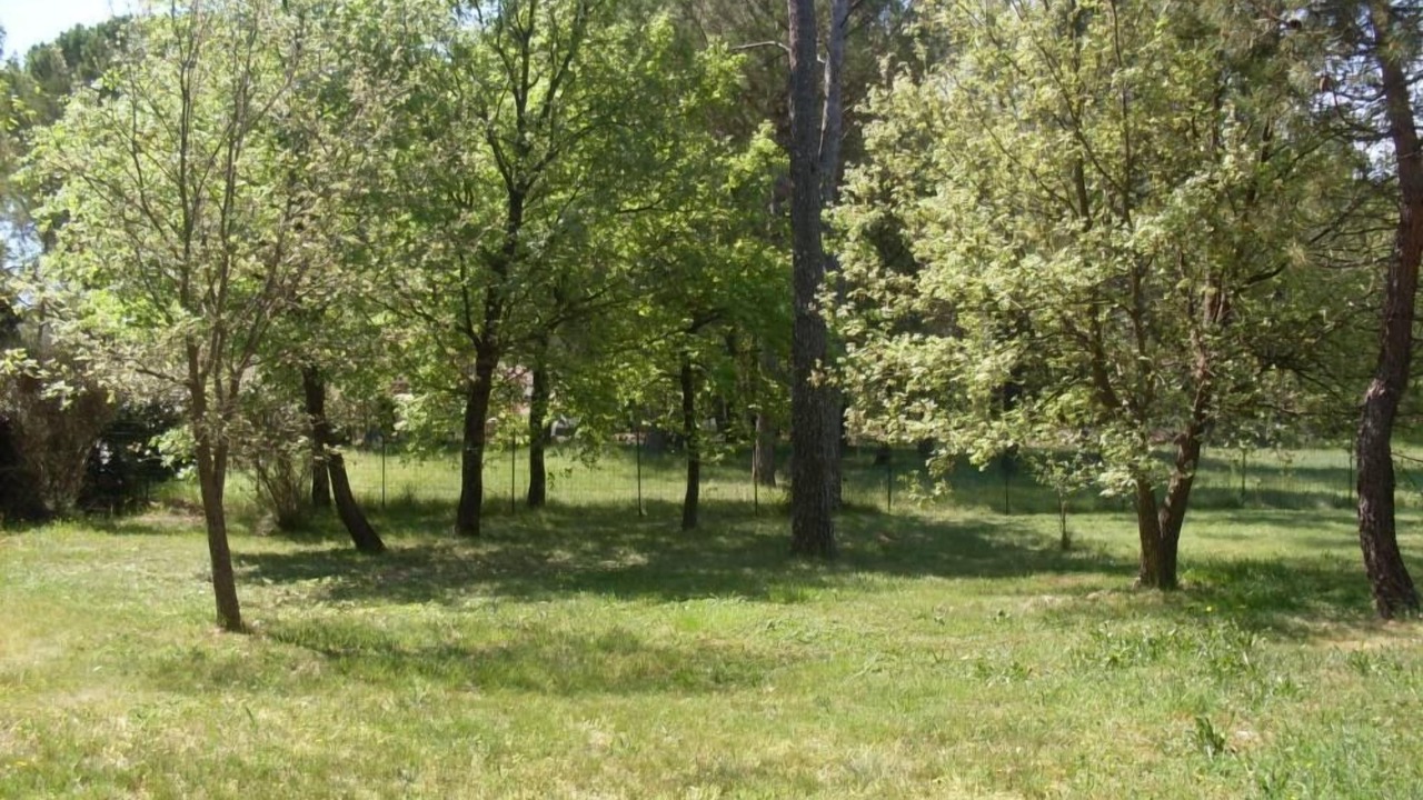 Photo of Outdoor in Tourrettes