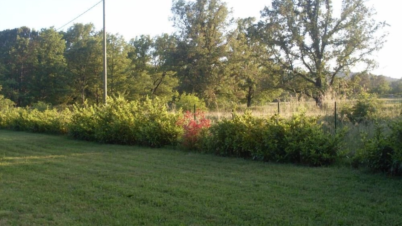 Photo of Outdoor in Tourrettes