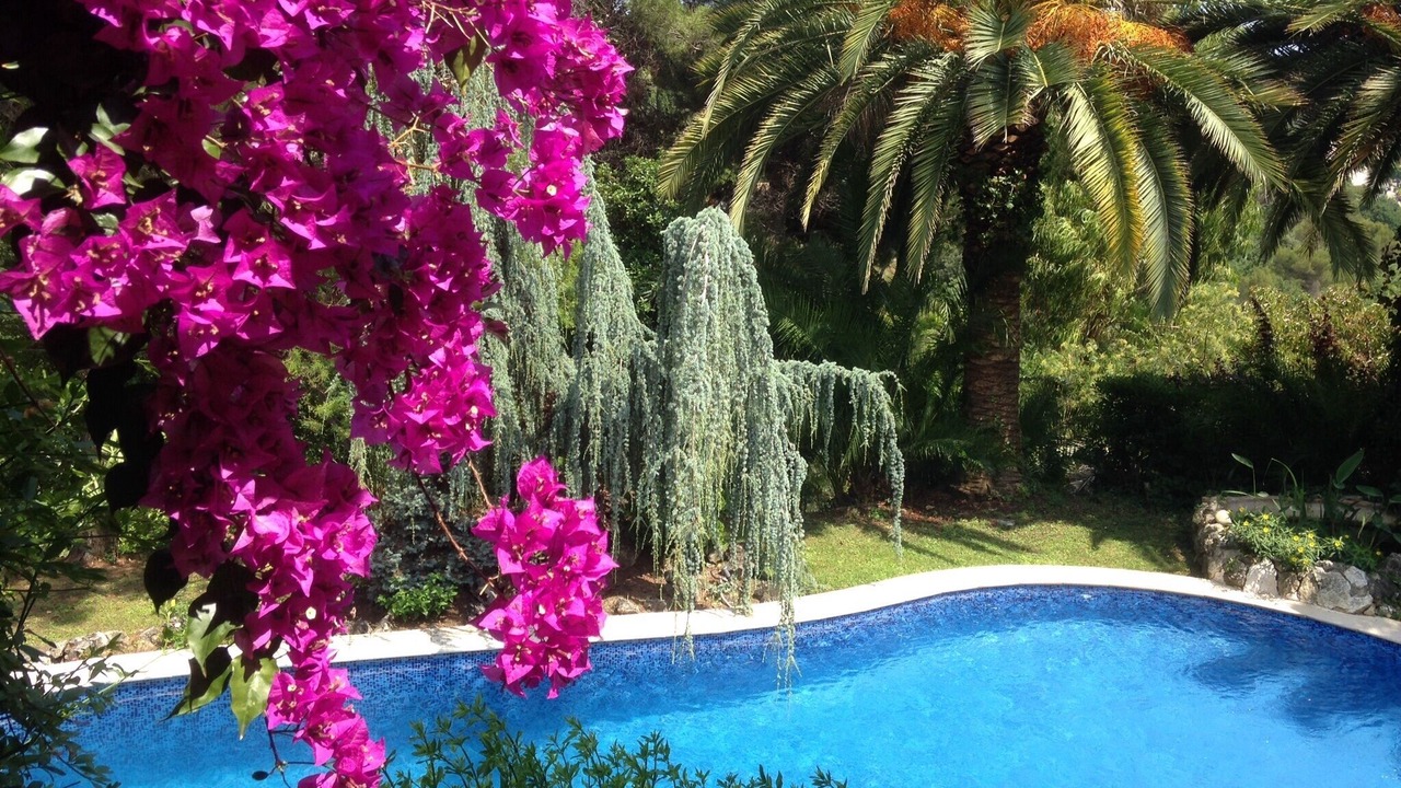 Photo of Outdoor in La Gaude