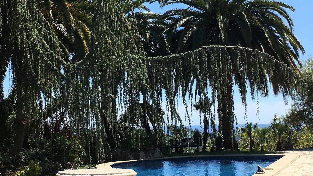 Photo of Outdoor in La Gaude
