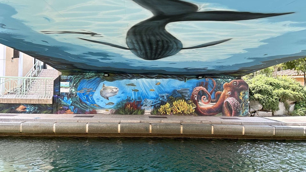 Photo of Others in Frejus Port