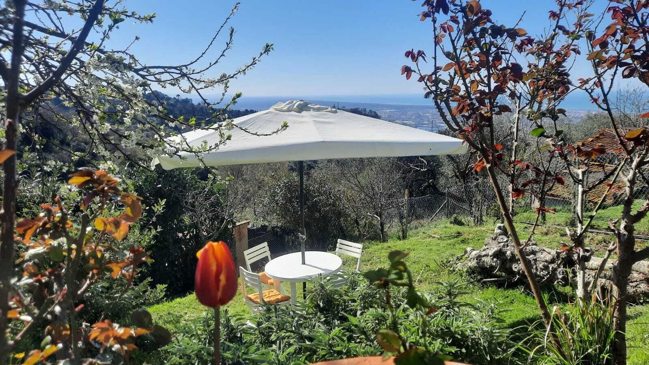 Photo of Outdoor in Pedona