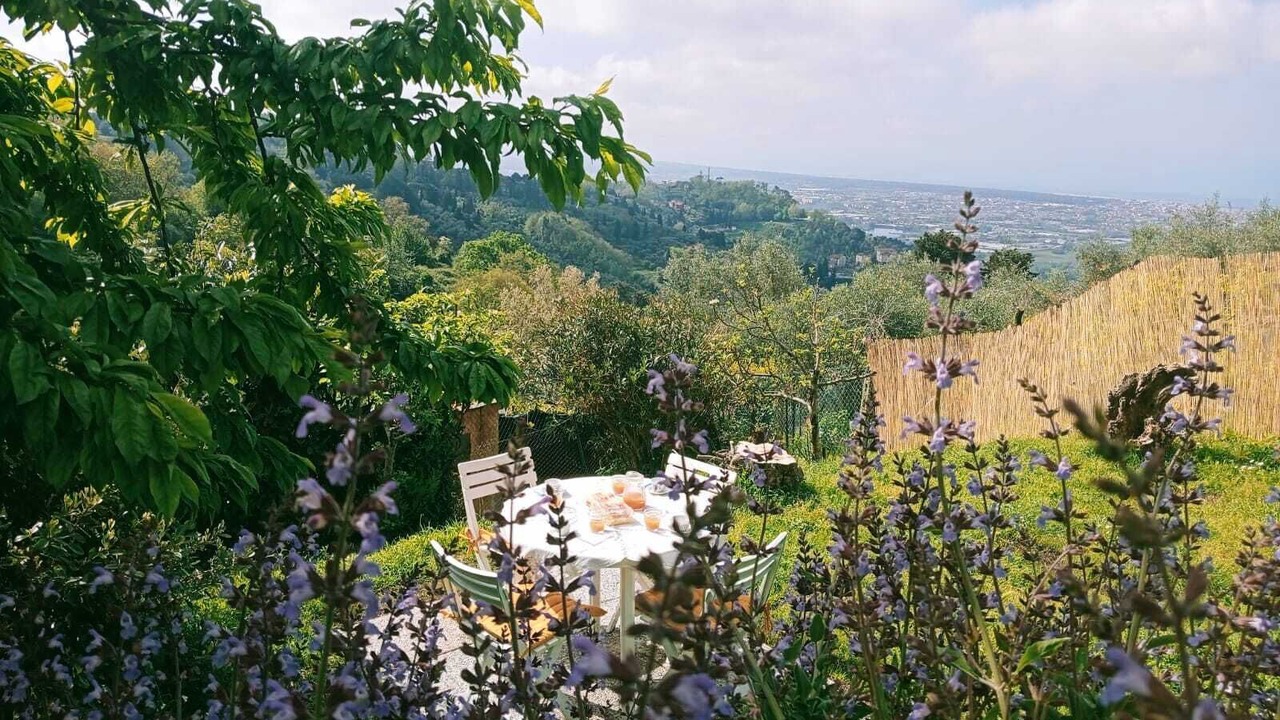 Photo of Outdoor in Pedona