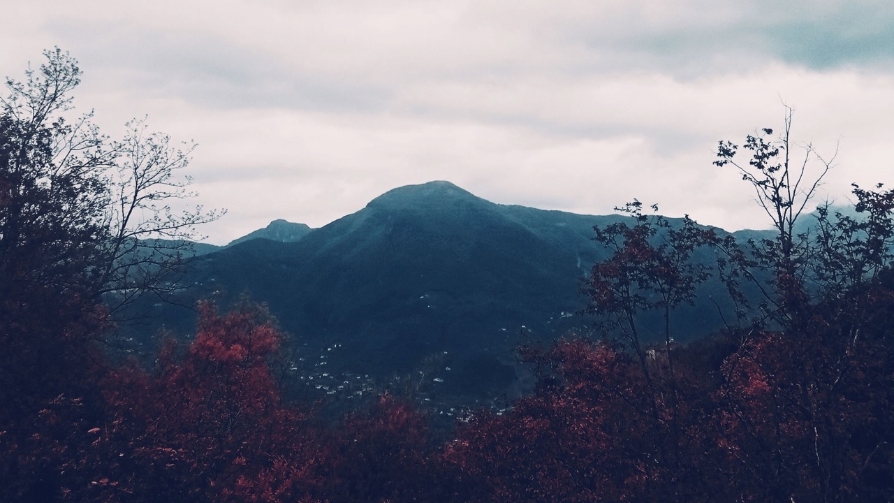 Photo of Others in Pedona