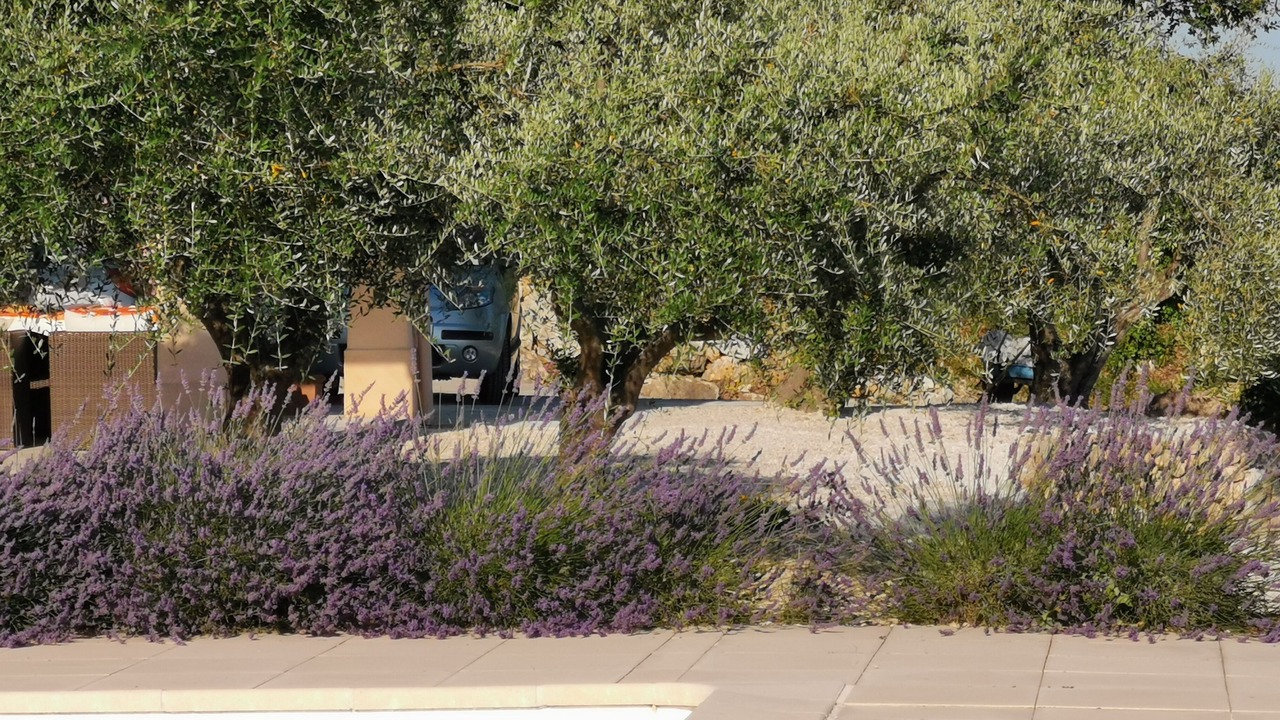Photo of Outdoor in Chateauneuf-Grasse