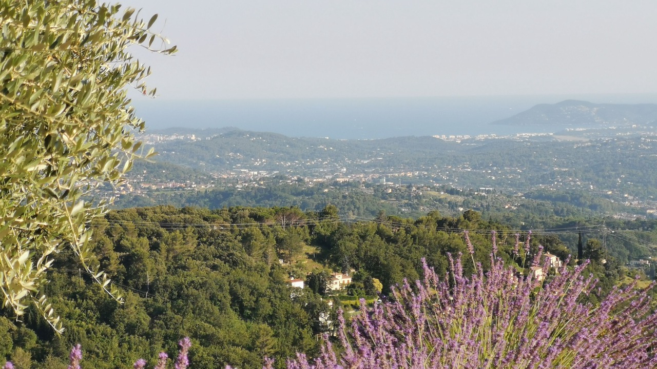 Photo of Others in Chateauneuf-Grasse