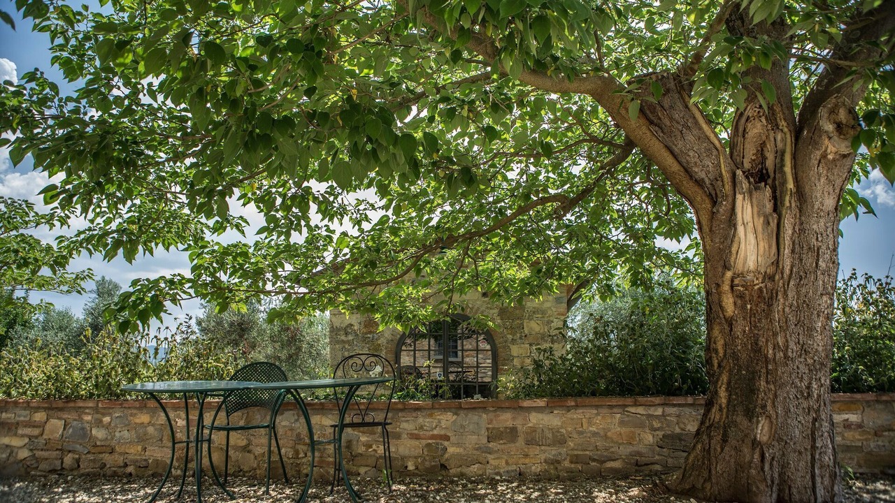 Photo of Others in Tavarnelle Val di Pesa
