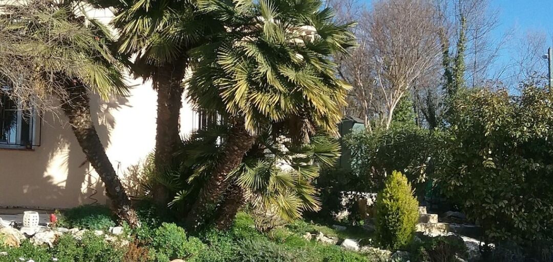 Photo of Outdoor in Saint-Paul-de-Vence