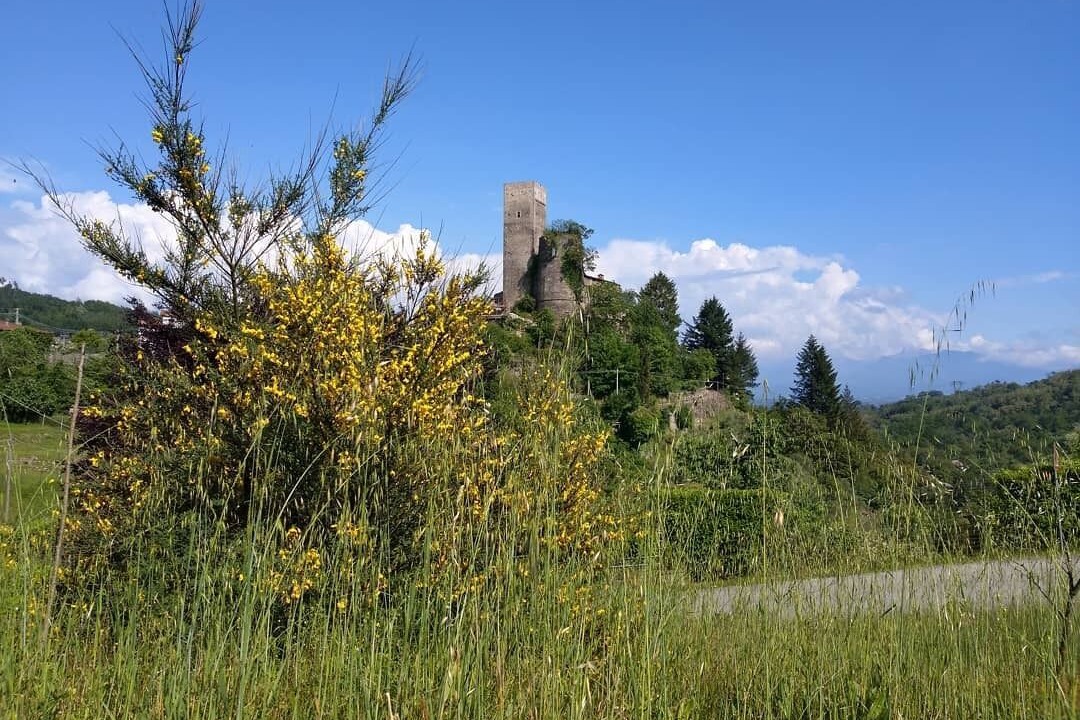 Photo of Outdoor in Tresana