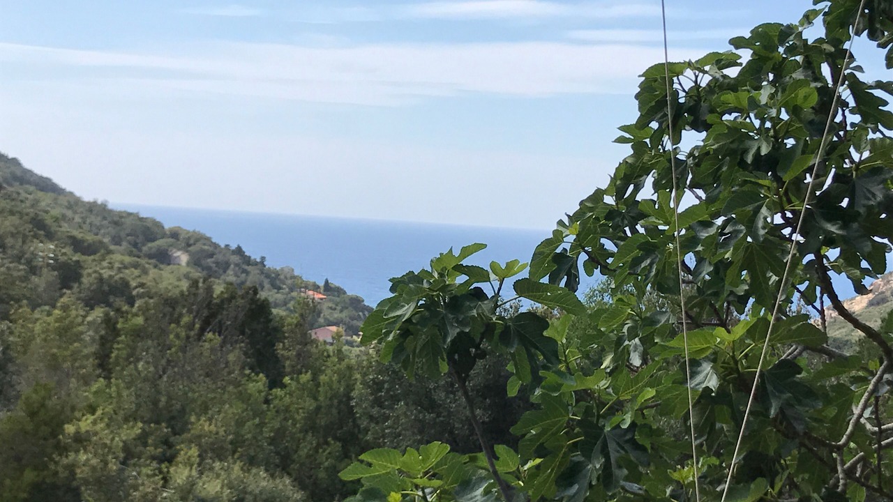 Photo of Outdoor in Rio nell'Elba