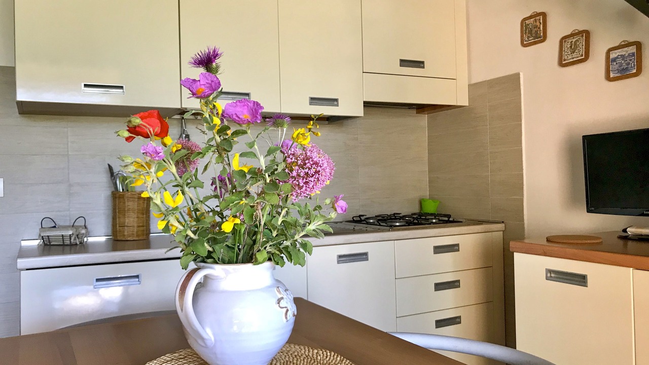 Photo of Kitchen in Rio nell'Elba